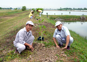 image : Tree planting at Bang Pa-in Plant