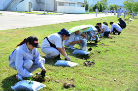 image : Tree-planting at Lopburi Plant