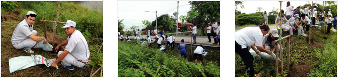 image : Tree-planting at Lopburi Plant and the employees who participated