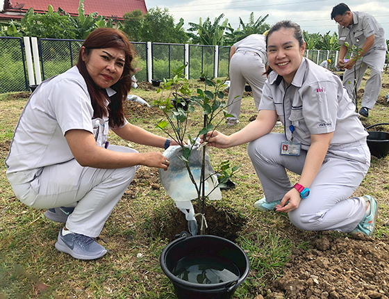 image : Tree planting at Ayutthaya Plant