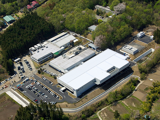 image : Matsuida Plant