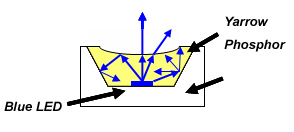 LED loss