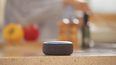 画像:SADIOT LOCK2で遠隔操作可能なスマートホームデバイス例(写真はAmazon Echo Dot)