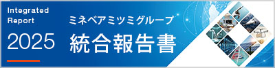 統合報告書